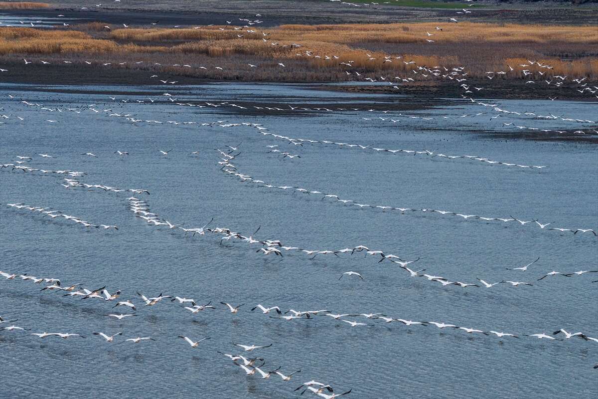 Konya’nın ünlü gölünde kuraklık sonrası sevindiren dönüş 8